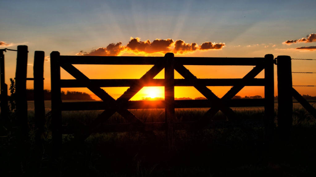 Alquiler de Campos - Atardecer